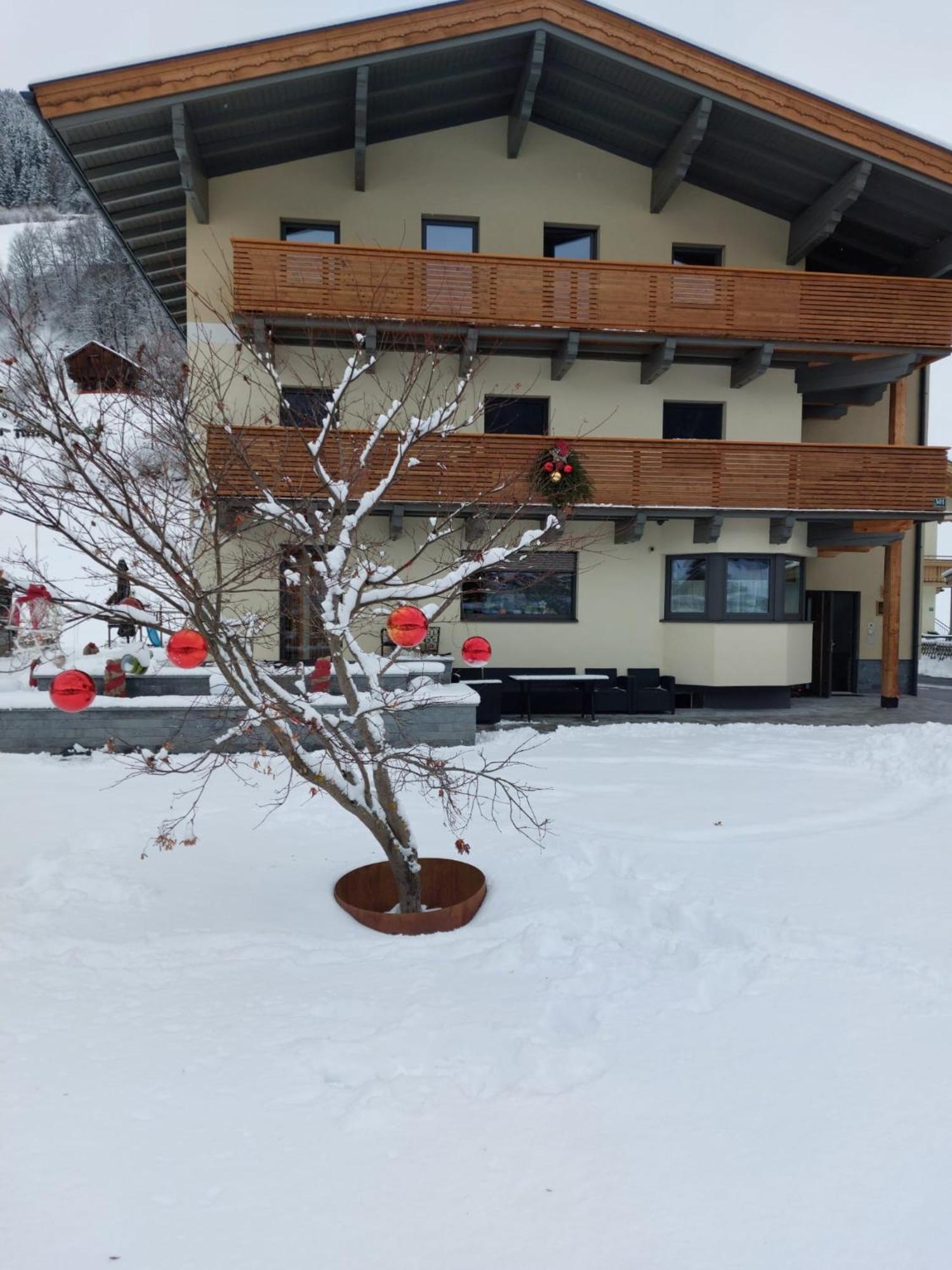 Appartement Reichholf Bramberg am Wildkogel Εξωτερικό φωτογραφία