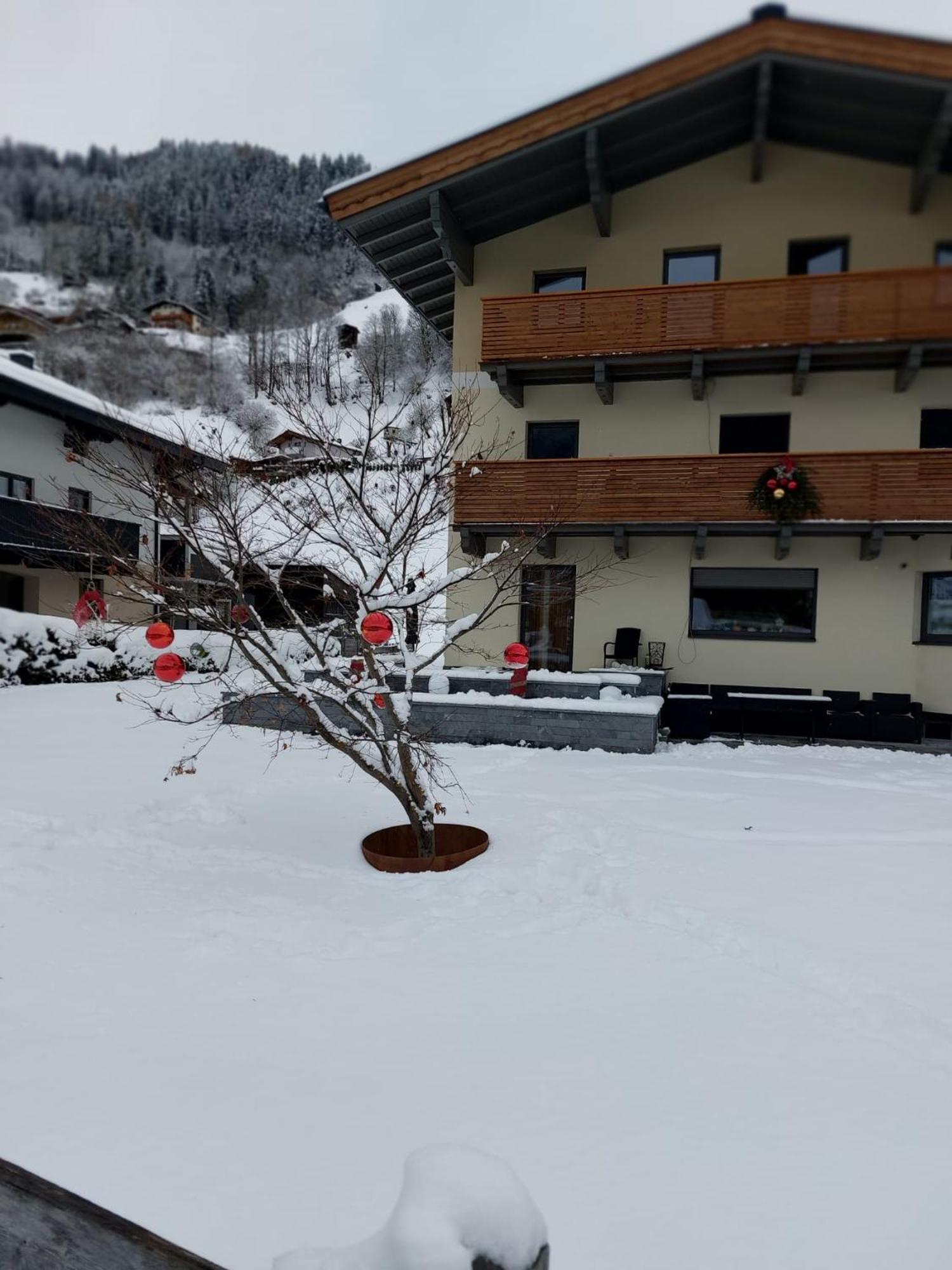 Appartement Reichholf Bramberg am Wildkogel Εξωτερικό φωτογραφία